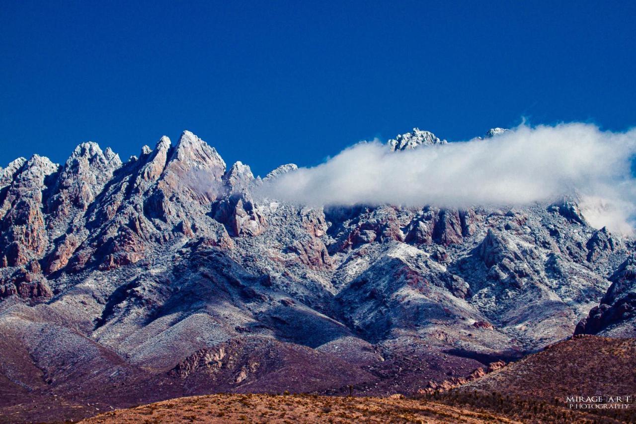 The Perfect Place . . . Here It Is! Las Cruces Exteriör bild